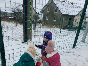 Zimowe zabawy przedszkolaków - zdjęcie5
