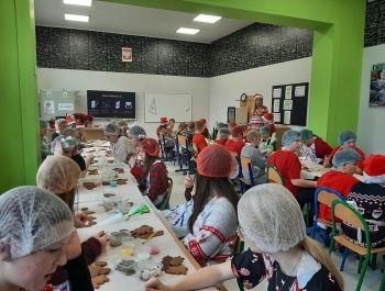 WARSZTATY DEKOROWANIA PIERNICZKÓW - zdjęcie1