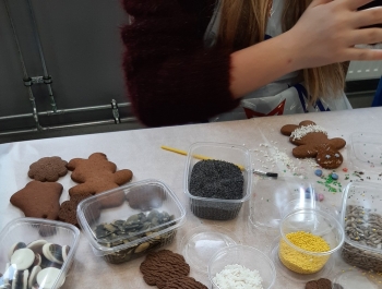 WARSZTATY DEKOROWANIA PIERNICZKÓW - zdjęcie4