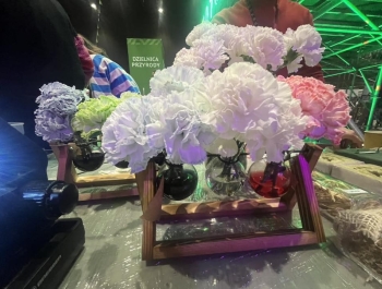 Nauka, zabawa i podróż pociągiem – wyjazd klas 7 i 8 do Katowic. - zdjęcie14