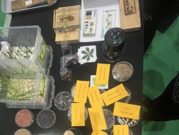 Nauka, zabawa i podróż pociągiem – wyjazd klas 7 i 8 do Katowic. - zdjęcie24