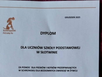 Pomoc, Która Ma Znaczenie – Wsparcie dla Schroniska - zdjęcie1