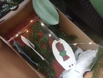 Tajemnicze drzwi do świata Narnii. - zdjęcie4