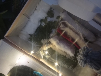 Tajemnicze drzwi do świata Narnii. - zdjęcie5