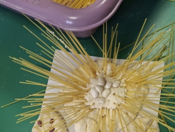 Kreatywne brudzenie- prowadząca Lucyna Dziergas - zdjęcie43