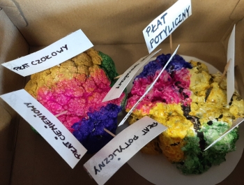 WIOSENNE TARGI ZDROWIA - zdjęcie11