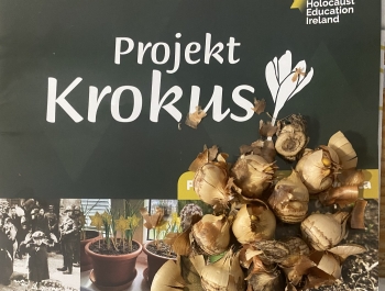 Projekt Krokus - zdjęcie1