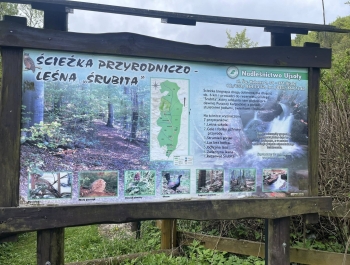 Rycerka Górna - mnóstwo wspomnień. - zdjęcie7