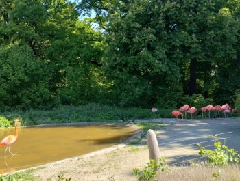 Wycieczka do zoo. - zdjęcie2