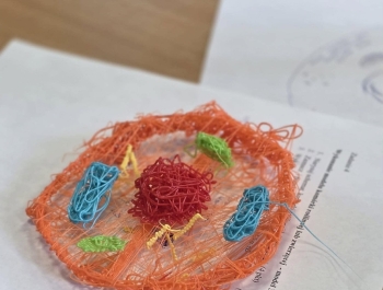 Gminny Konkurs Biologiczno-Geograficzny 2026 - zdjęcie2