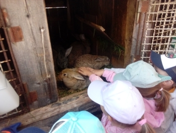 Wycieczka do Chlebowej Chaty w Górkach Małych - zdjęcie7