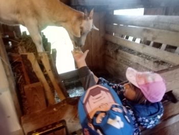 Wycieczka do Chlebowej Chaty w Górkach Małych - zdjęcie6