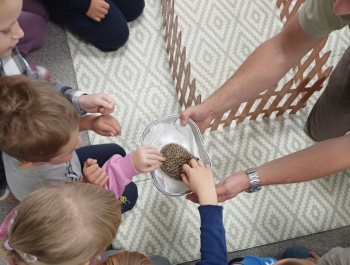 Przedszkolaki odkrywają tajemnice lasu! - zdjęcie4