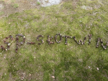 Zielona Szkoła - Pogorzelica 23.04-30.04.2025r. - zdjęcie2
