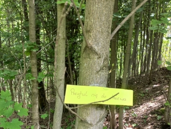 Ciekawy świat wokół nas - zdjęcie1