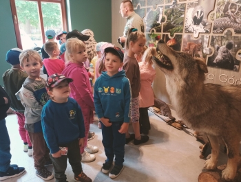 Wycieczka przedszkolaków do Nadleśnictwa Węgierska Górka 11