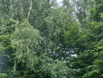 Wycieczka do Zarzecza - zdjęcie4
