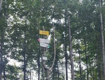 Słotwina - Becyrek - Szczyrk - Słotwina - zdjęcie16