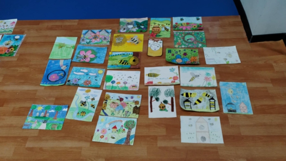 Program Wolontariusze HOPE-dla ludzi i planety