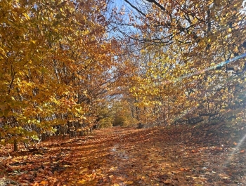 Żar - Kiczera - zdjęcie7