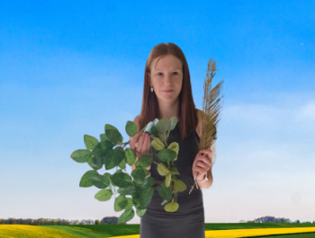 Lekcja historii w klasie 5 – W świecie greckich bogów - zdjęcie8