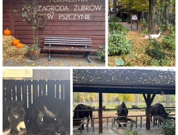 „Dzień pełen emocji: historia, refleksja i spotkanie z naturą” - zdjęcie3