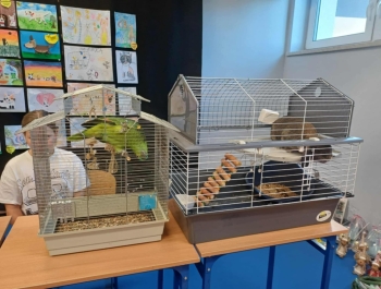 „Dzień Pupila” - zdjęcie1