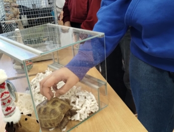 „Dzień Pupila” - zdjęcie8