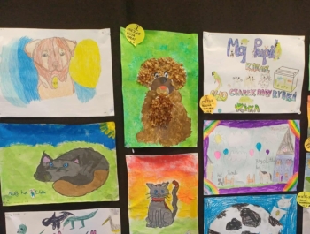 „Dzień Pupila” - zdjęcie2