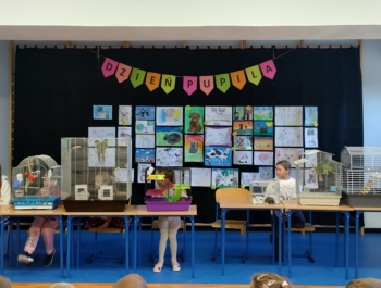 „Dzień Pupila” - zdjęcie11