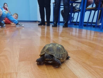 „Dzień Pupila” - zdjęcie6