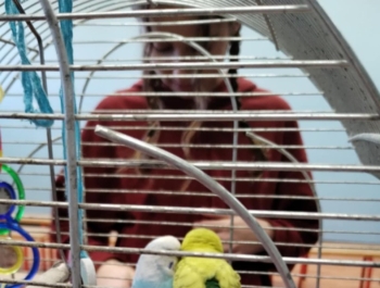 „Dzień Pupila” - zdjęcie9