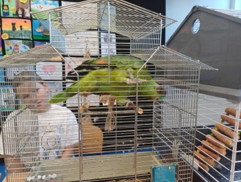 „Dzień Pupila” - zdjęcie20